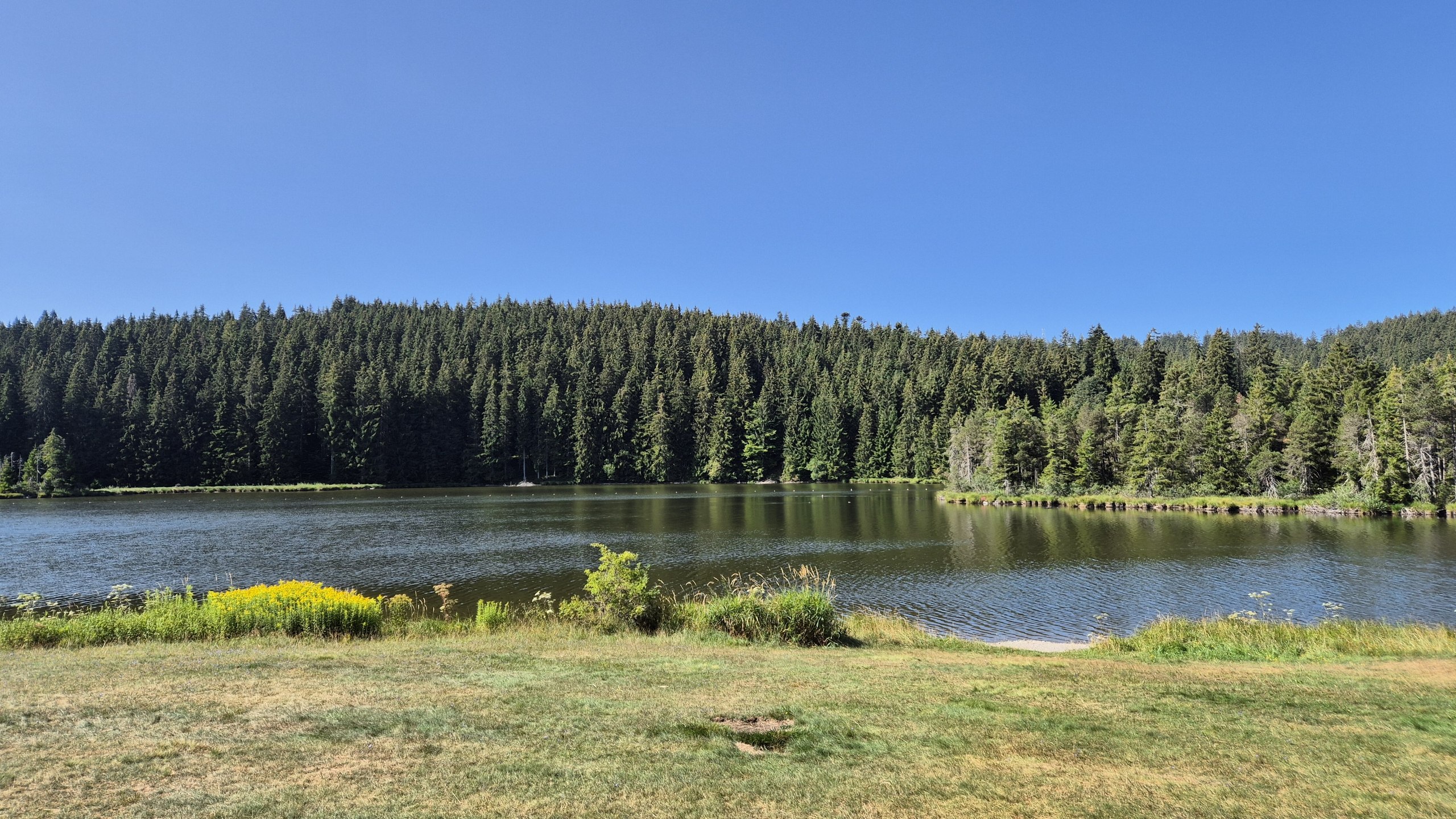 Eschacher Weiher on the cycle back towards Kempten