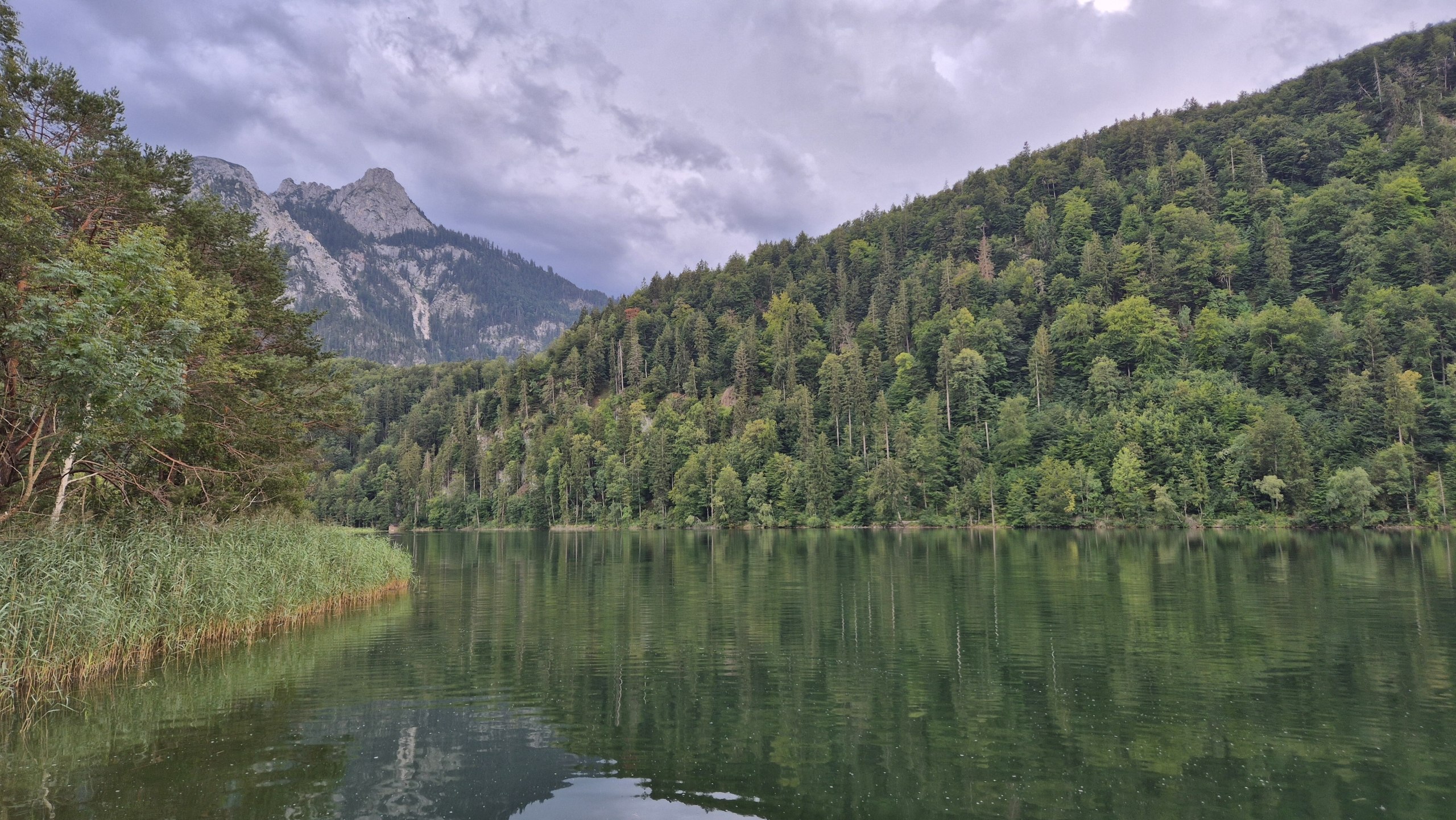 Schwansee beneath the wooded mountains near Füssen