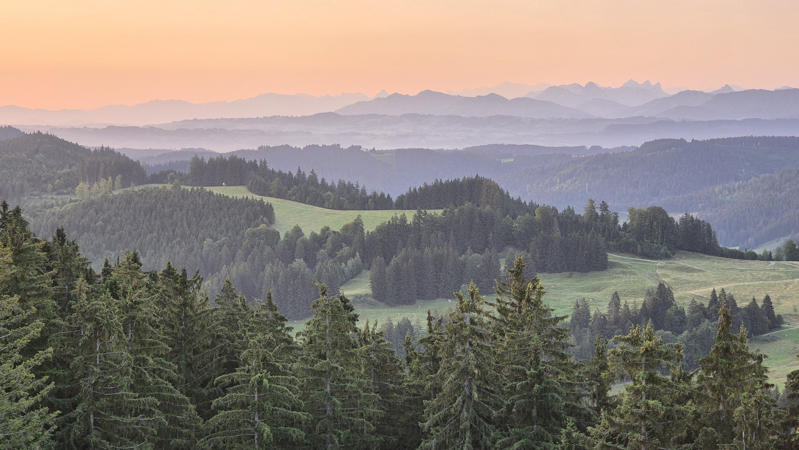 Early morning view towards the Alps from Schwarzer Grat