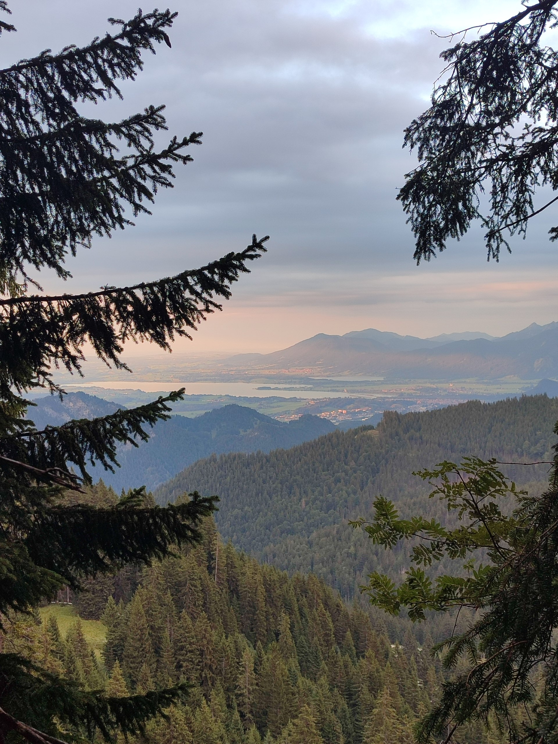 Evening view of the lake and valley through the mountain forest