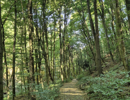 Day 16 — The red trail and a 50-minute town visit