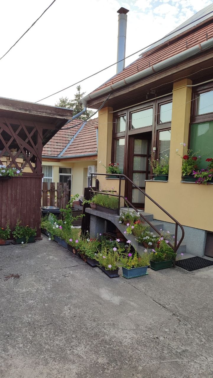 The flower-lined entrance to our guesthouse in Visegrád