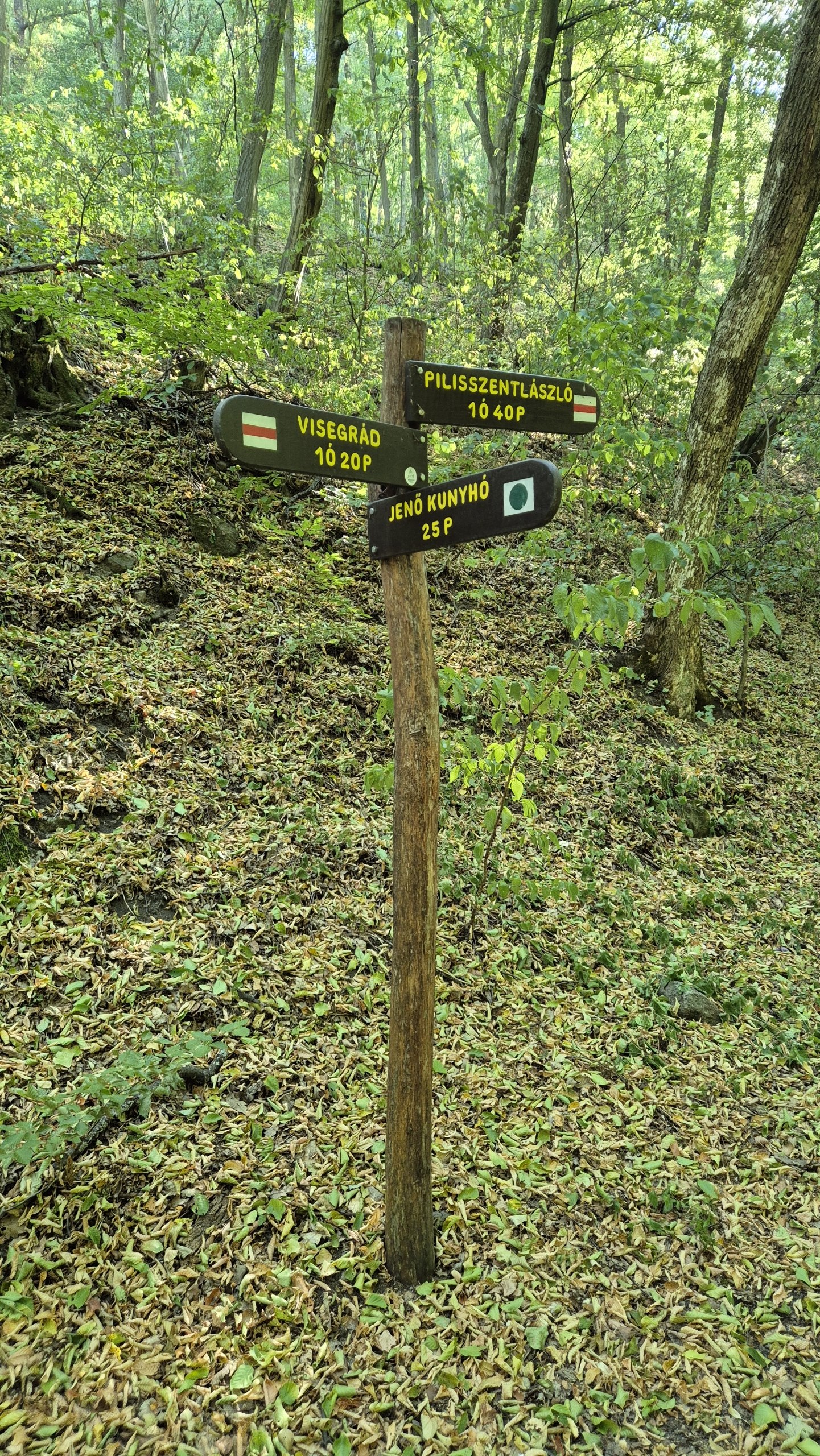 A wooden hiking signpost in the forest between Visegrád and Pilisszentlászló