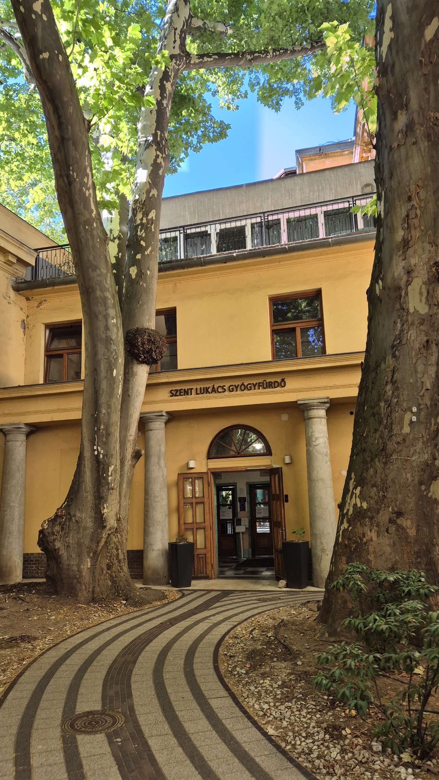 The yellow entrance to Szent Lukács Thermal Baths between large plane trees