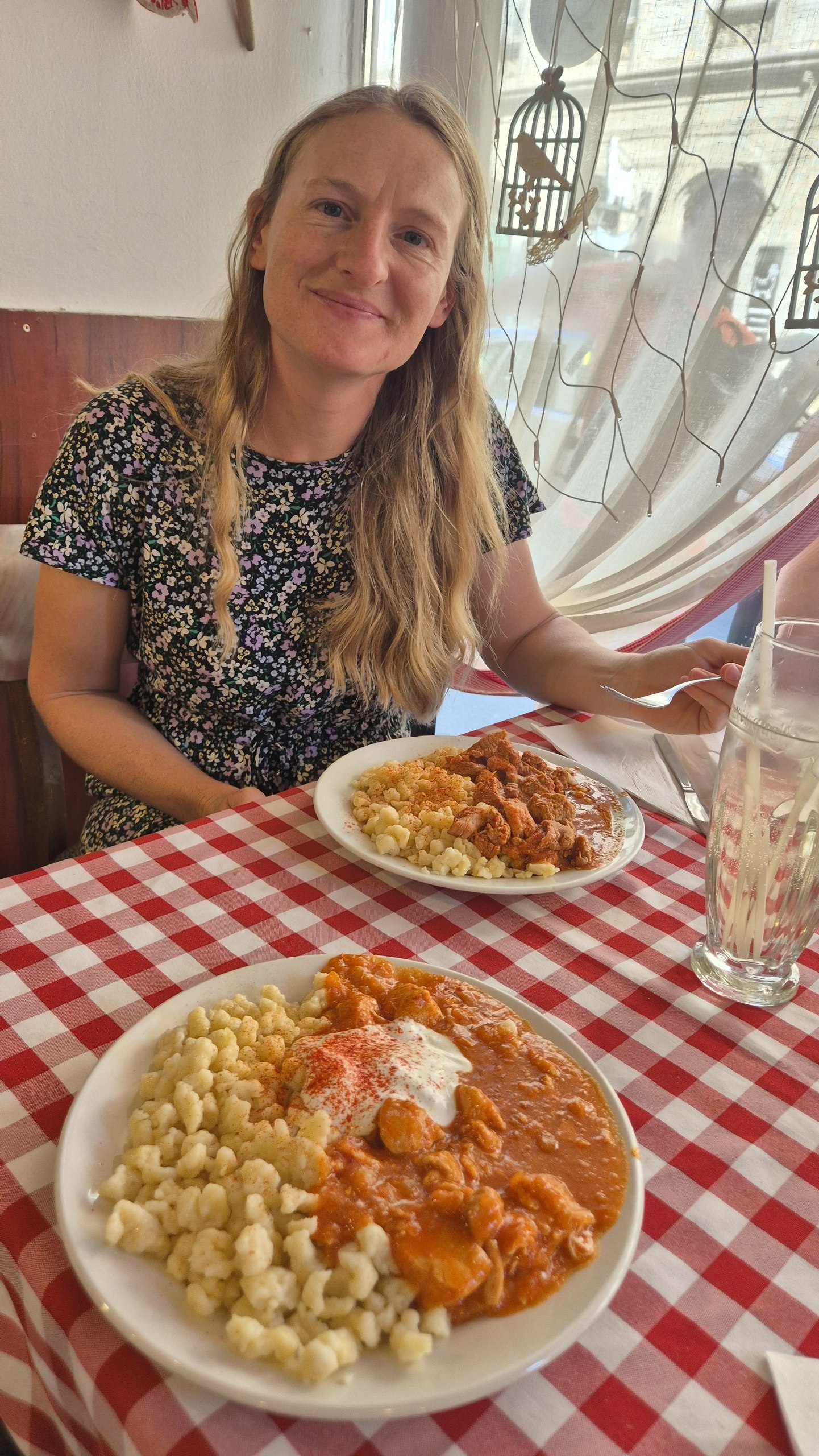 Pork and chicken stews served with Hungarian dumplings