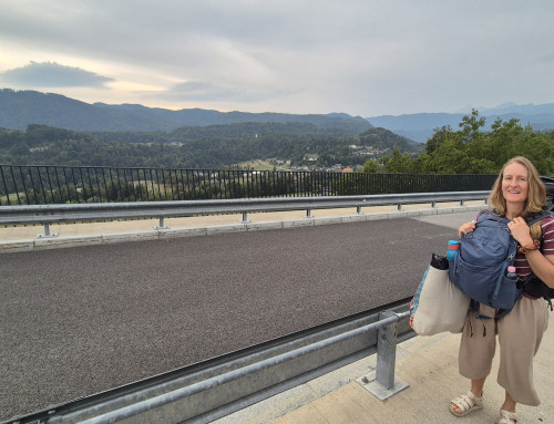 Day 20 — Nine hours from Budapest to Radovljica
