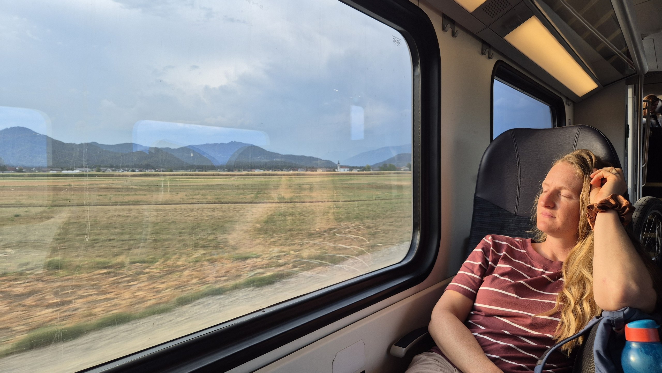 Caro resting beside the window on the newer Slovenian train