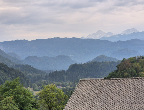 Day 21 — Rain, rest and Belokranjska pogača