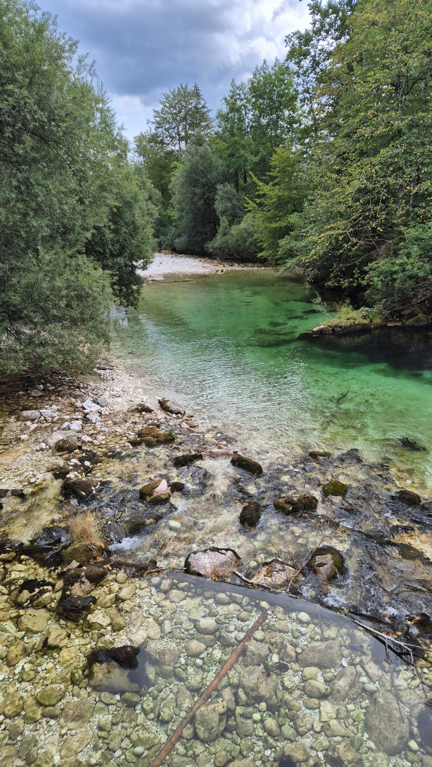 Clear emerald water flowing over pale stones near Lake Bohinj