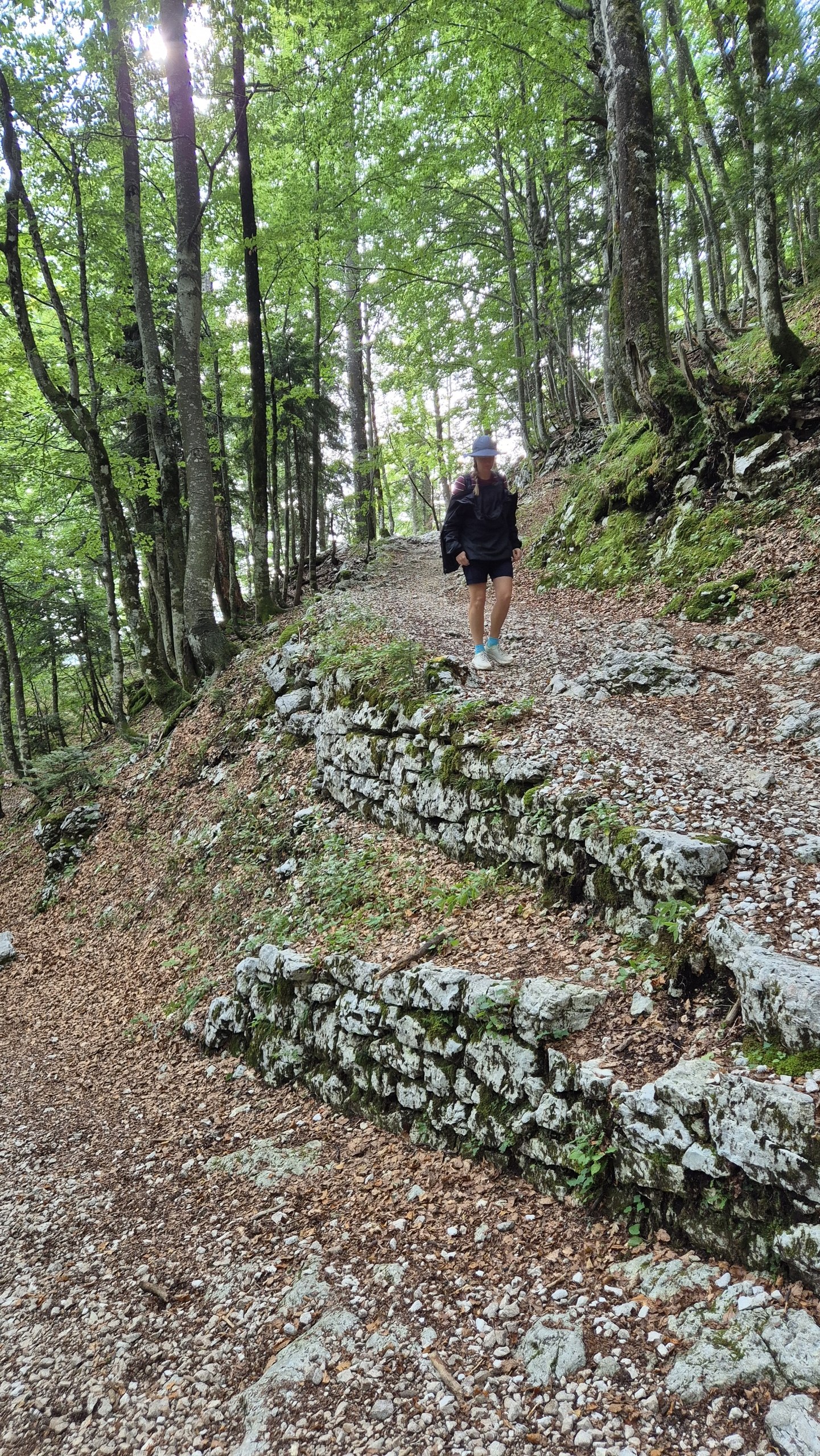 Caro descending the stone-built zigzag track through the forest below Komna