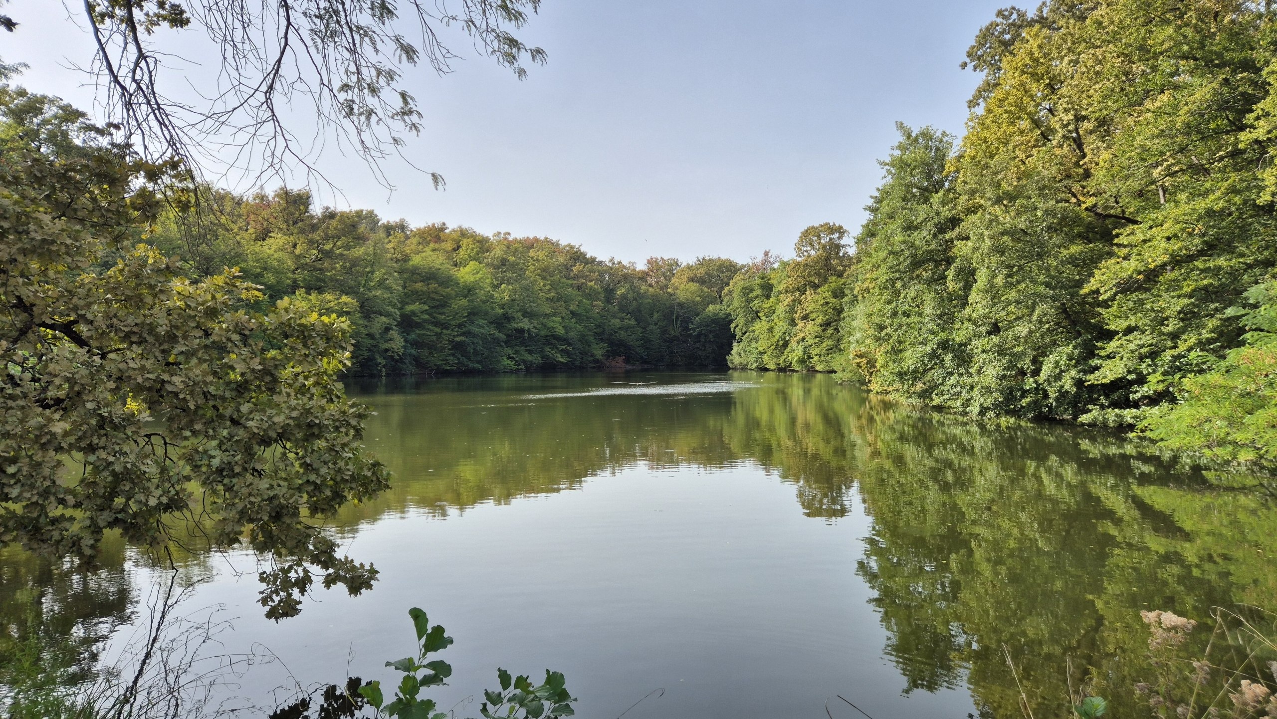 A second tree-lined lake in Maksimir Park Zagreb