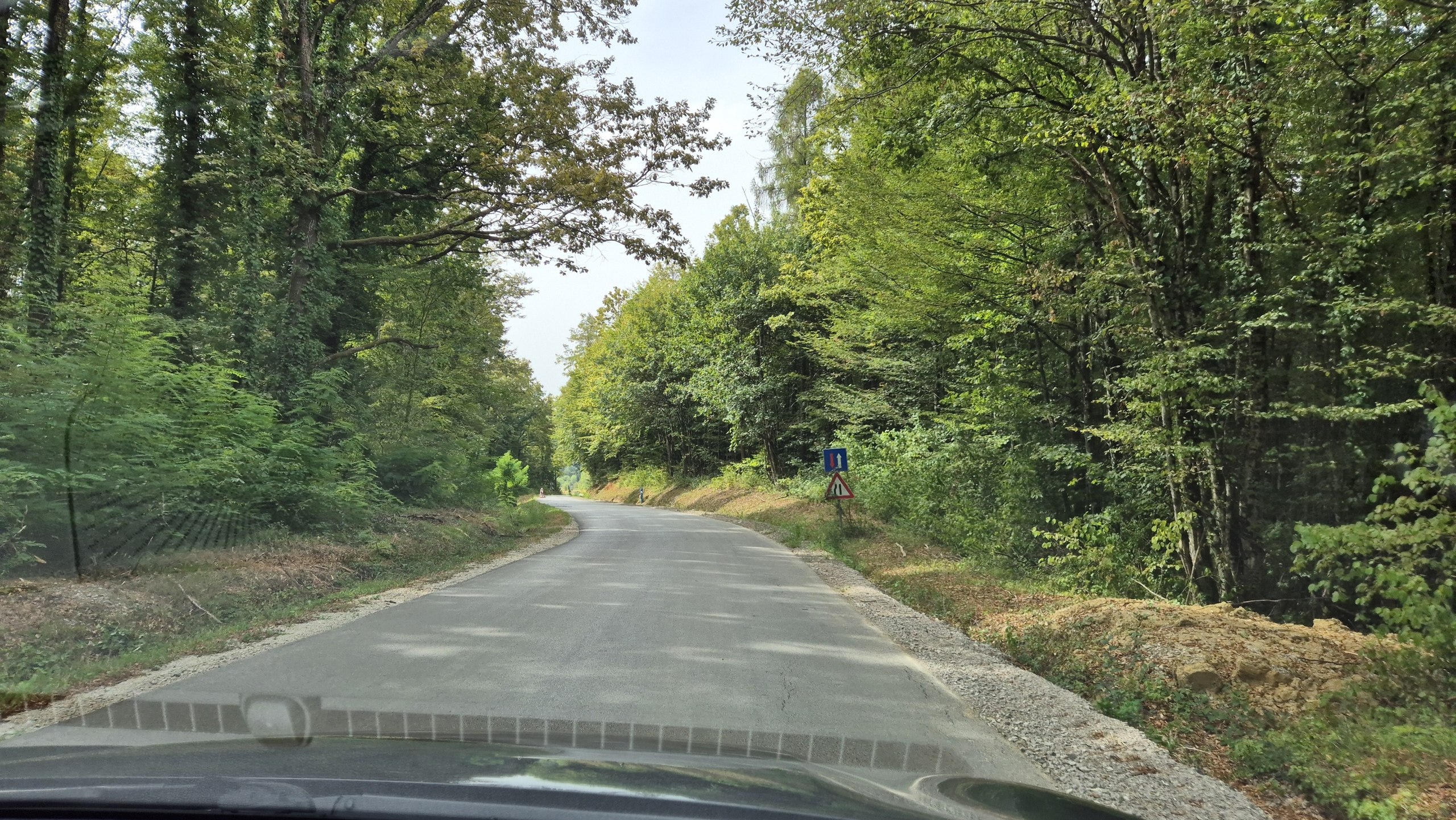 A narrow forest road on the no-toll route from Zagreb