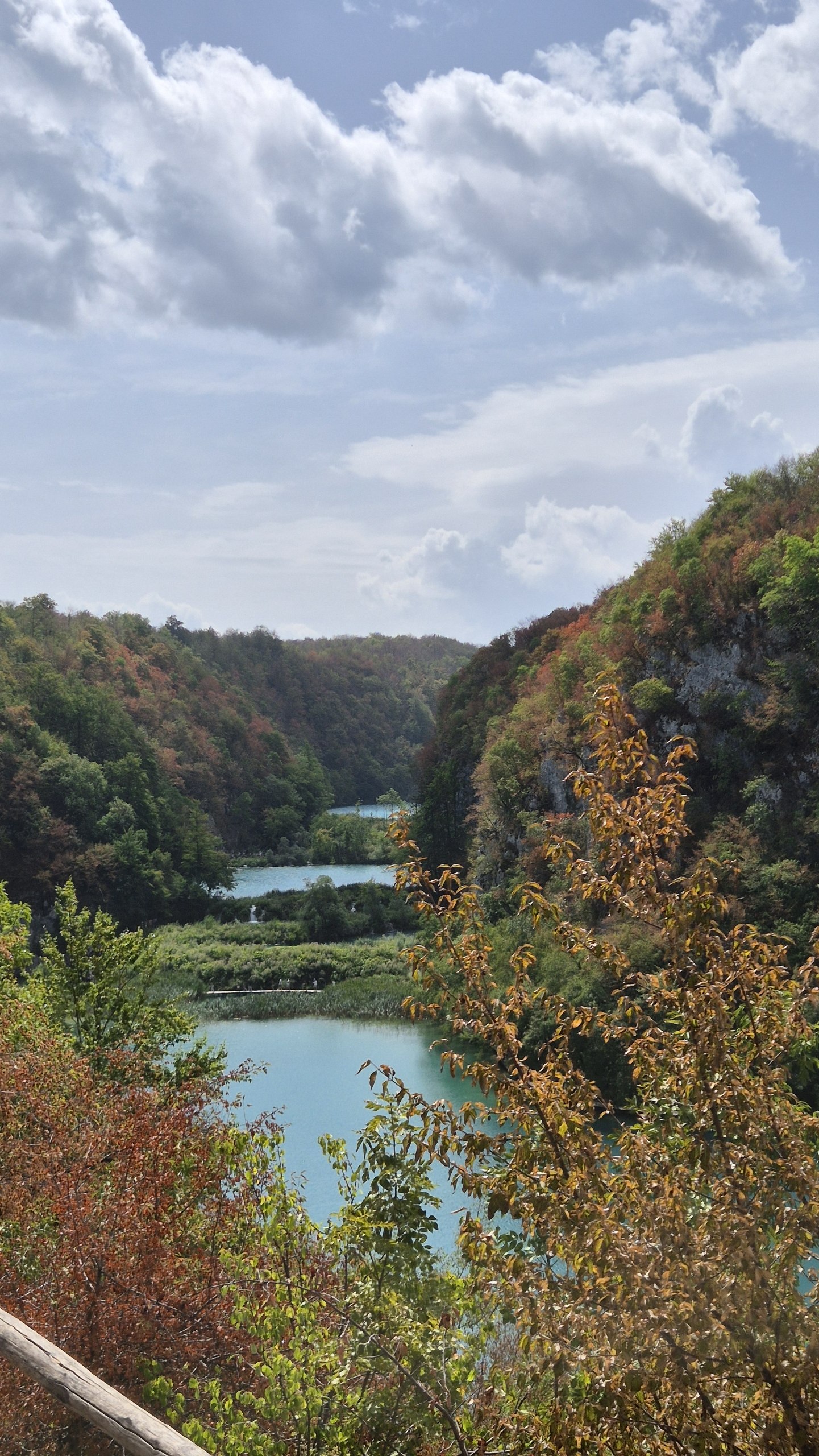 Turquoise lakes and forest at Plitvice Lakes National Park
