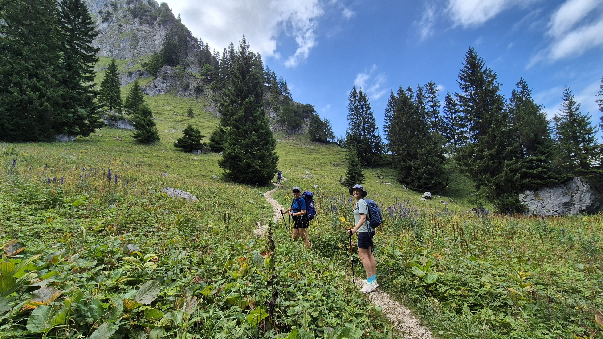 Hikers on a narrow trail through an alpine meadow