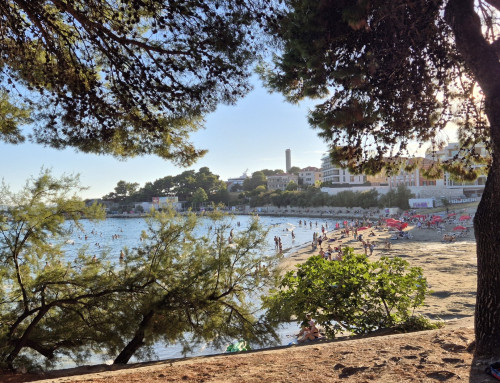 Day 37 — A handbrake and 37 degrees