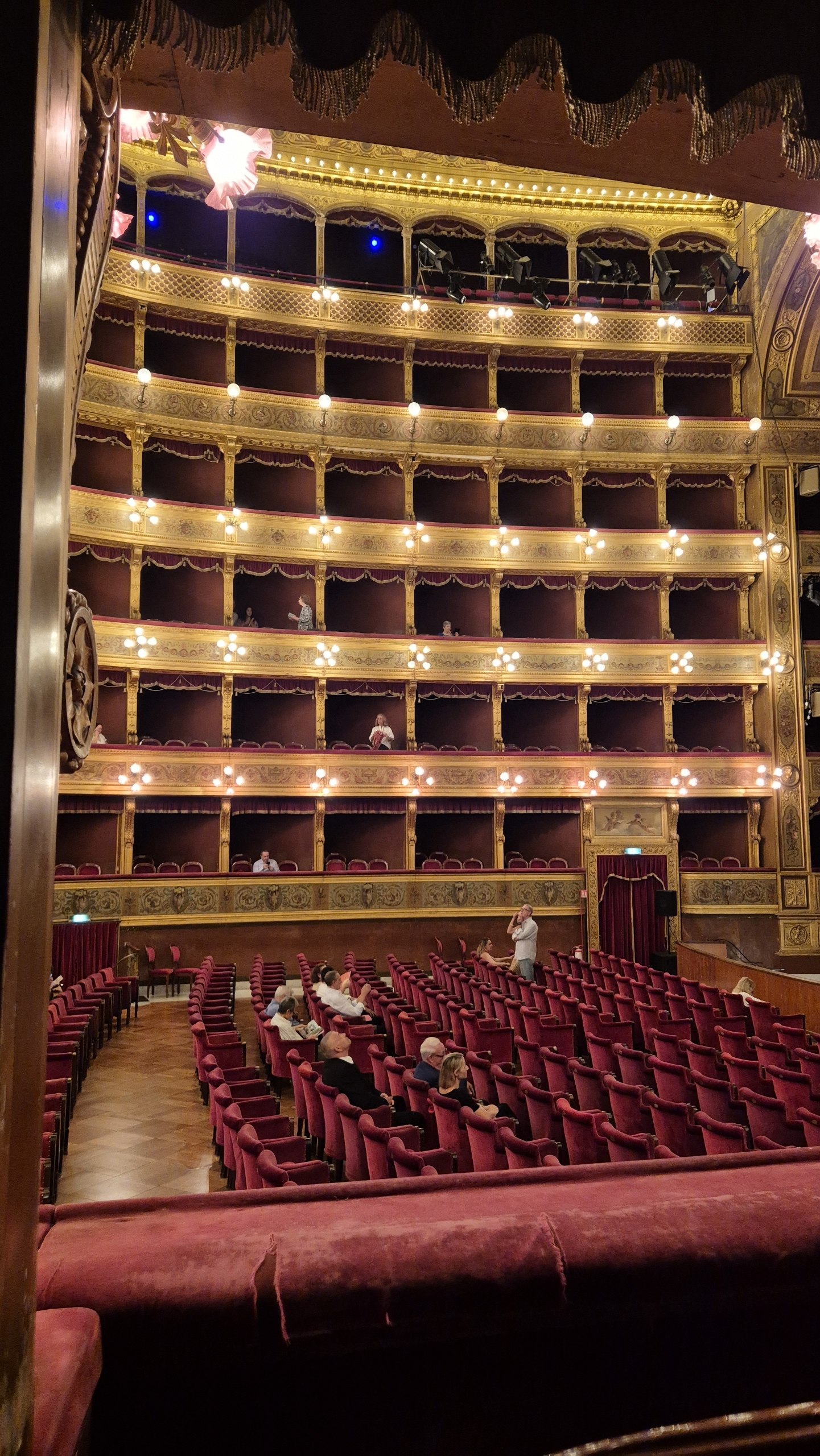 day51-teatro-massimo-auditorium The red-and-gold auditorium of Teatro Massimo
