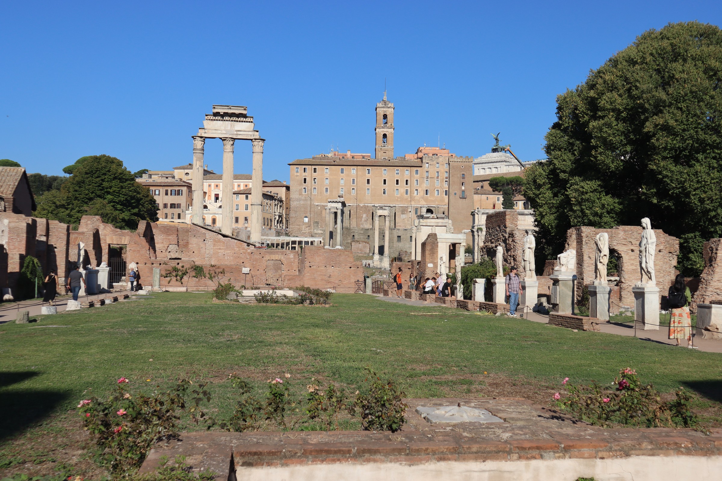 day66-roman-forum-view The Roman Forum stretching towards the Capitoline Hill